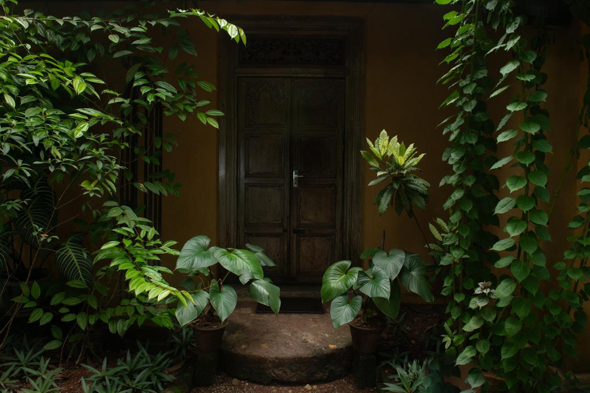فندق Casa Heliconia غامباها المظهر الخارجي الصورة